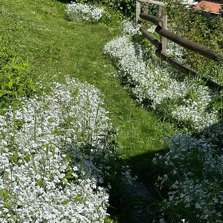 Huguette Studio 18M2 Courchevel Bagian luar foto